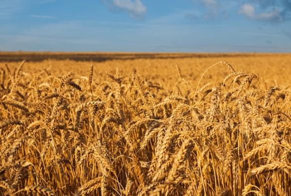 Photo by Diana Vyshniakova on Unsplash