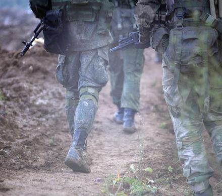 © iStock.com/Anna_Anikina